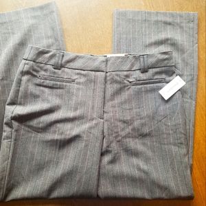 12P Dress Pants Roz and Ali